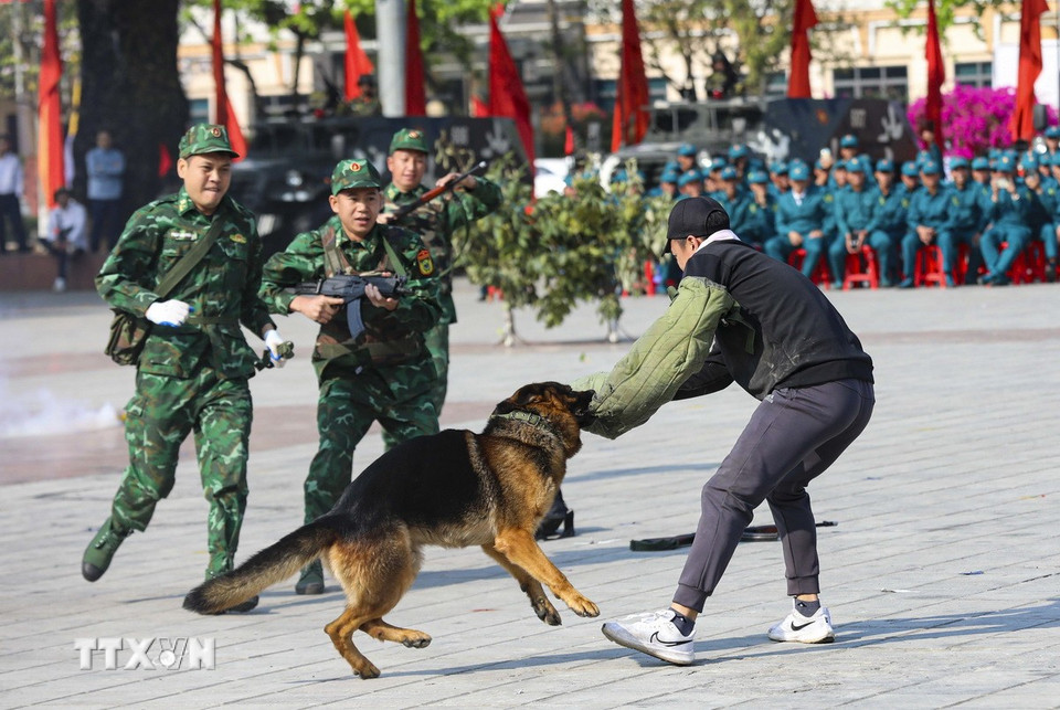 Huấn luyện chó nghiệp vụ bắt tội phạm của lực lượng Bộ đội Biên phòng tỉnh. (Ảnh: Xuân Tư/TTXVN)