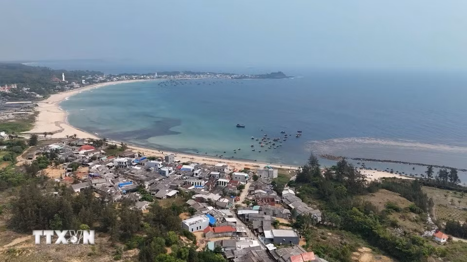 Vựa rong mơ lớn tại vùng biển thôn Phước Thiện, xã Vạn Tường (Quảng Ngãi). (Ảnh: Hải Âu/TTXVN)