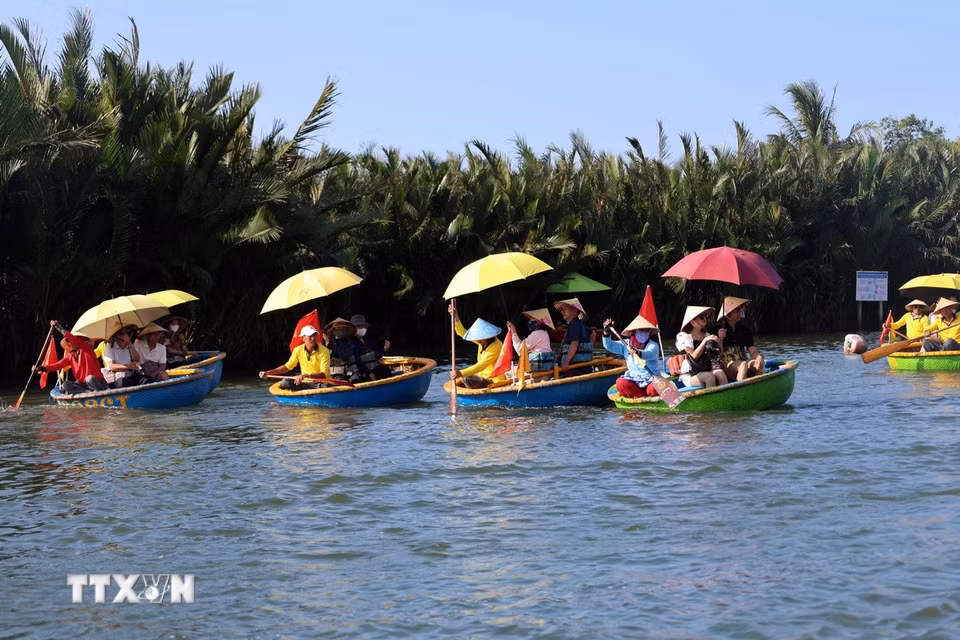Du khách lênh đênh trên những chiếc thuyền thúng nhỏ khám phá làng dừa Cẩm Thanh, một trong 50 ngôi làng đẹp nhất thế giới năm 2025. (Ảnh: Đỗ Trưởng/TTXVN)