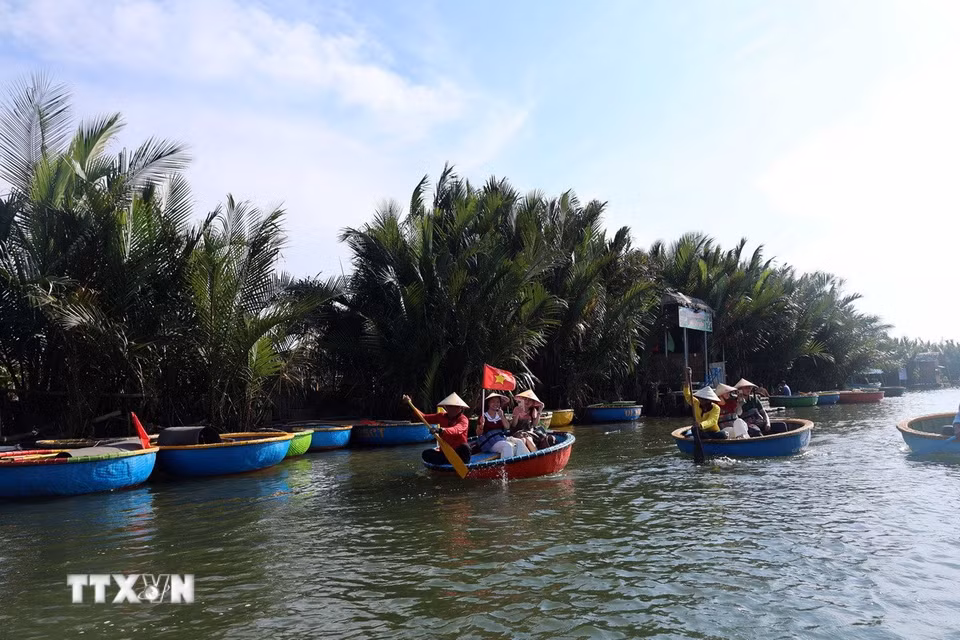Du khách lênh đênh trên những chiếc thuyền thúng nhỏ khám phá làng dừa Cẩm Thanh, một trong 50 ngôi làng đẹp nhất thế giới năm 2025. (Ảnh: Đỗ Trưởng/TTXVN)