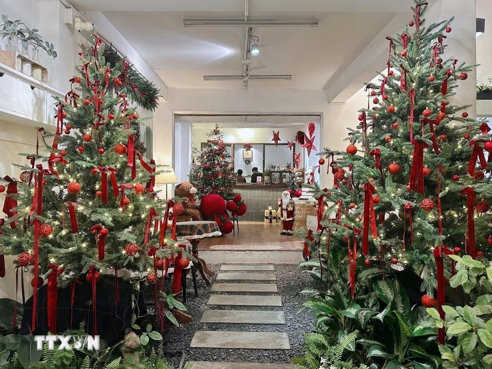 Một quán cà phê tại phường Nhiêu Lộc cũng trang trí các tiểu cảnh cây thông đa dạng để chào đón mùa Giáng sinh năm 2025. (Ảnh: Thu Hương/TTXVN)
