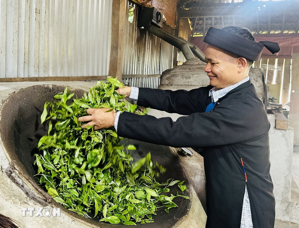 Ông Đặng Văn Háu, dân tộc Dao (thôn Xà Phìn, xã biên giới Thanh Thủy, tỉnh Tuyên Quang) sao chè thủ công. (Ảnh: Đức Thọ/TTXVN)