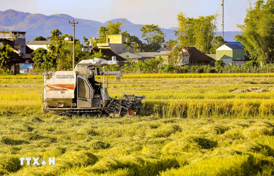 Người dân sử dụng máy gặt lúa để giảm thiểu thời gian và sức lao động. (Ảnh: Xuân Tư/TTXVN)