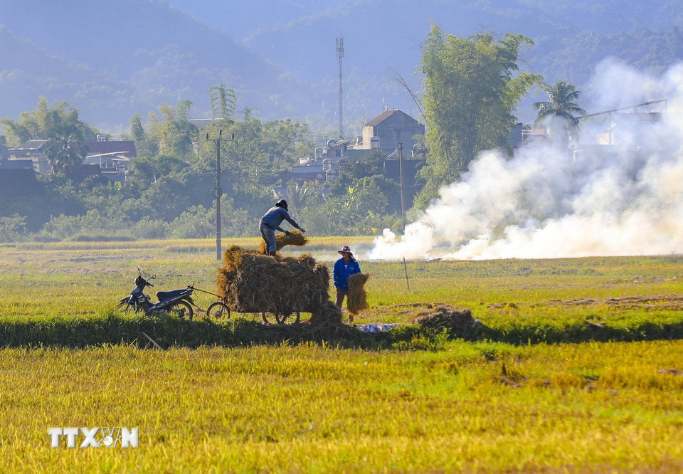 Khung cảnh cánh đồng Mường Thanh trong khói lam chiều. (Ảnh: Xuân Tư/TTXVN)