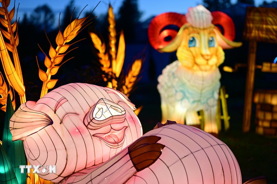 Tác phẩm nghệ thuật được trưng bày tại triển lãm ánh sáng ở Vacsava, Ba Lan, ngày 25/10/2025. (Ảnh: THX/TTXVN)