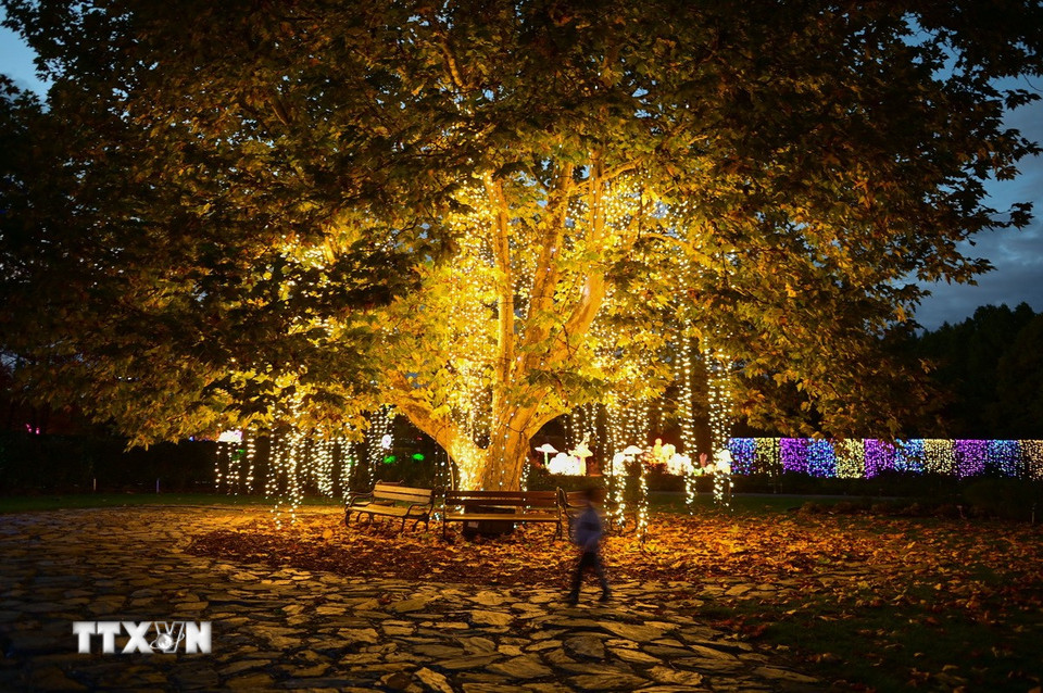 Tác phẩm nghệ thuật được trưng bày tại triển lãm ánh sáng ở Vacsava, Ba Lan, ngày 25/10/2025. (Ảnh: THX/TTXVN)