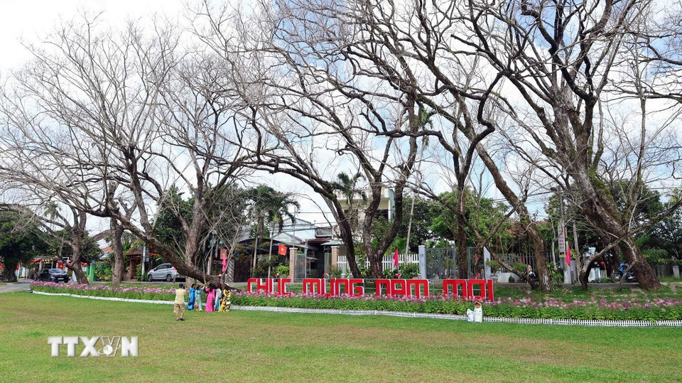 Du khách lưu giữ những hình ảnh đẹp ngày đầu xuân bên hàng cây sưa được công nhận là cây di sản Việt Nam ở làng sinh thái Hương Trà. (Ảnh: Đỗ Trưởng/TTXVN)