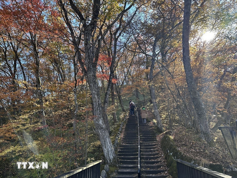 Con đường mòn dẫn đến thác Kirifuri. (Ảnh: Nguyễn Tuyến/TTXVN)