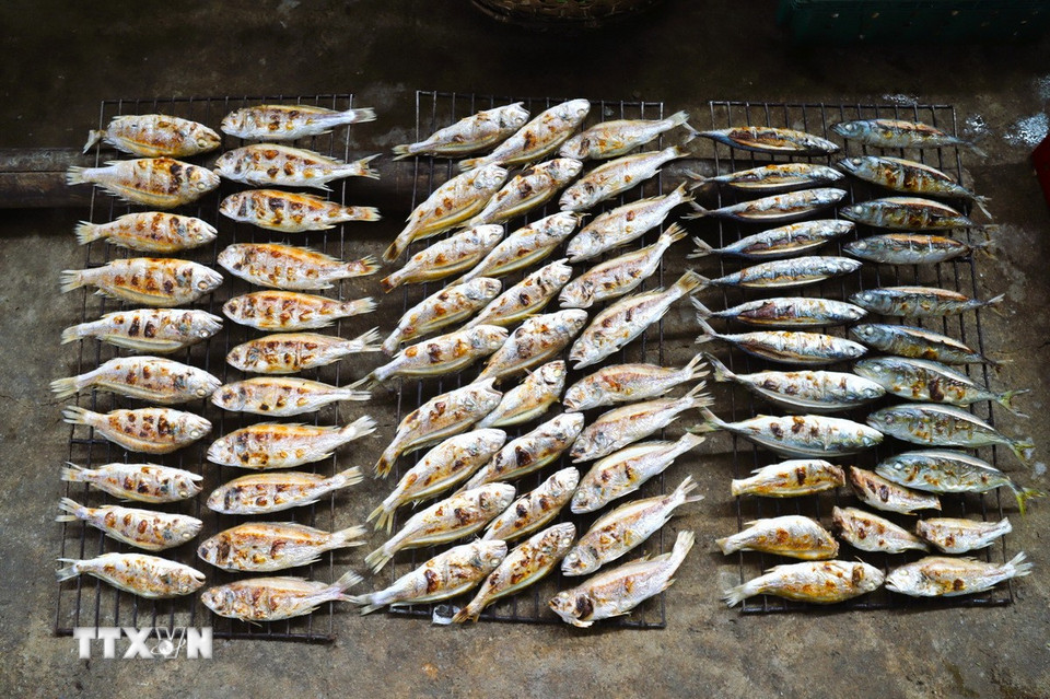 Cá Đù nướng chín bằng lửa than hoa vừa rời lò nướng, được để nguyên trên giàn rả một thời gian cho cá nguội. (Ảnh: Xuân Tiến/TTXVN)