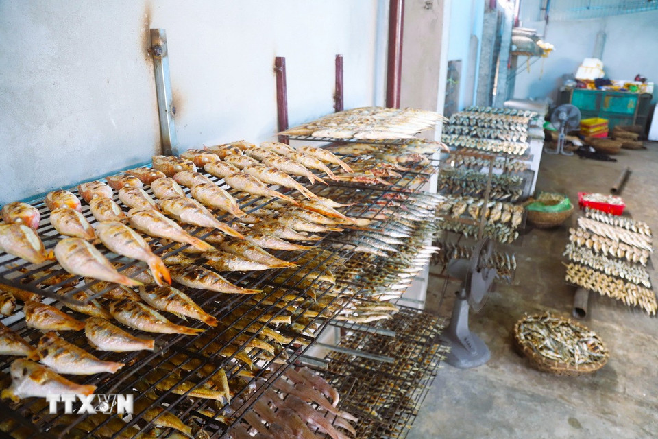Các loại cá biển sau khi nướng chín được đặt trên những giá nâng chắc chắn để cá mau nguội trước khi xếp vào các dụng cụ đựng chuyên dụng. Khi cá nguội hẳn sẽ được cho vào tủ cấp đông ở nhiệt độ mát thích hợp để cất giữ, bảo quản. (Ảnh: Xuân Tiến/TTXVN)