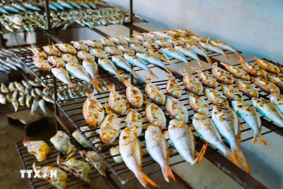 Quy trình sơ chế, nướng chín bằng phương thức thủ công nên sản phẩm cá biển nướng của người dân làng biển Diễn Châu có độ ngon, vị thơm, chất lượng, được người dân các vùng, miền trong tỉnh ưa chuộng, tin dùng. (Ảnh: Xuân Tiến/TTXVN)
