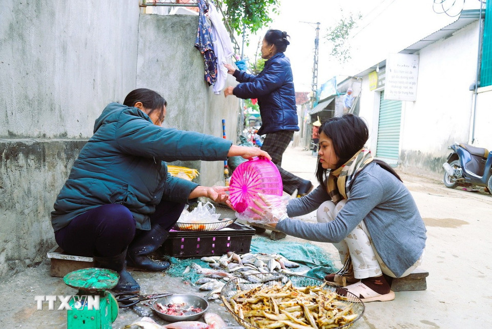 Người dân sơ chế, làm sạch các loại cá biển ngay bên hiên nhà trên những con đường làng. (Ảnh: Xuân Tiến/TTXVN)