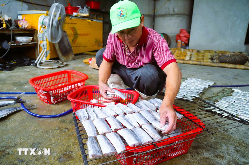 Đàn ông làng biển Diễn Châu (tỉnh Nghệ An) thạo nghề cũng tham gia sơ chế, xếp cá lên giàn rả phụ giúp gia đình. (Ảnh: Xuân Tiến/TTXVN)