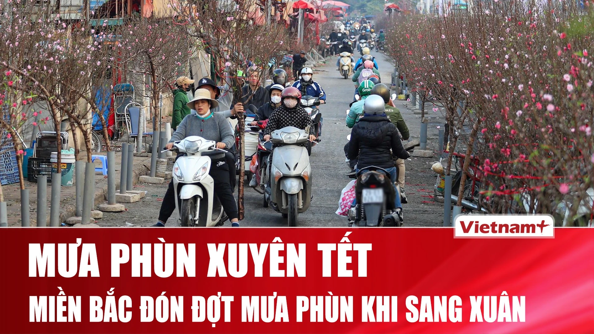 Thời tiết Tết 2026: Miền Bắc đón Tết trong mưa phùn, nhiều sự kiện nổi bật