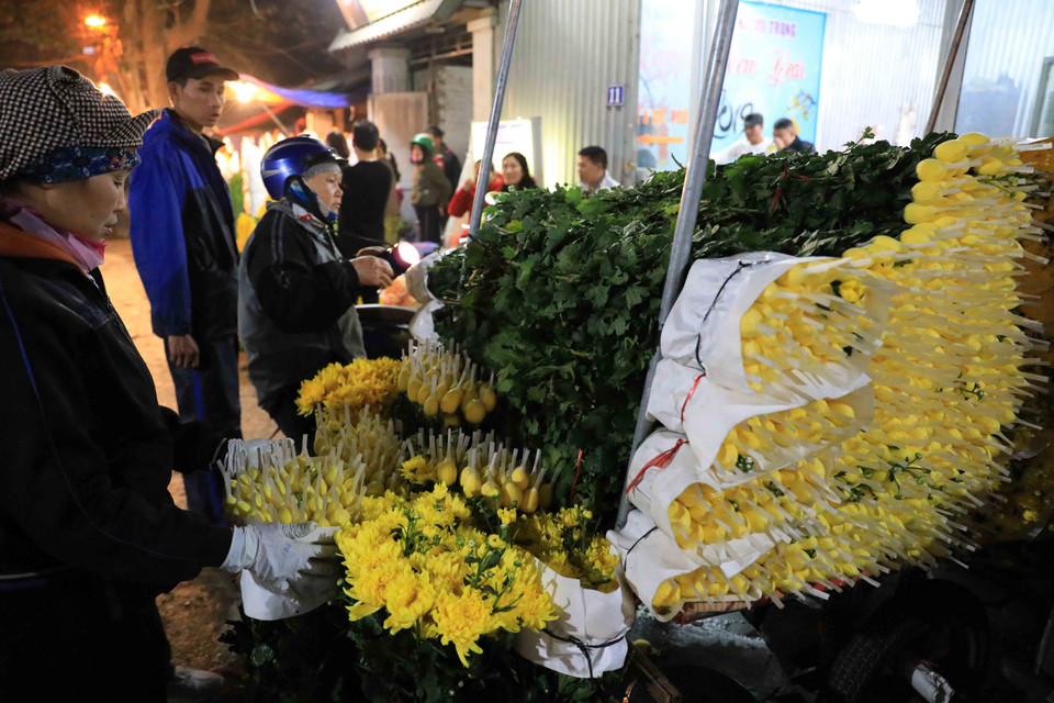 Hoa cúc được giao dịch số lượng lớn vào dịp giáp Tết nguyên đán. (Ảnh: Nhật Anh/TTXVN)