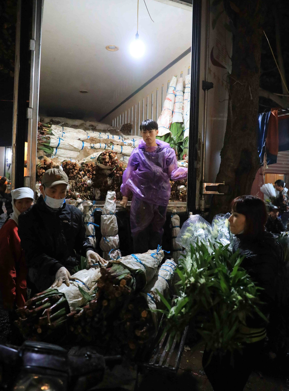 Những chiếc xe đông lạnh chở hoa từ miền Nam, miền Trung ra phục vụ. (Ảnh: Nhật Anh/TTXVN)