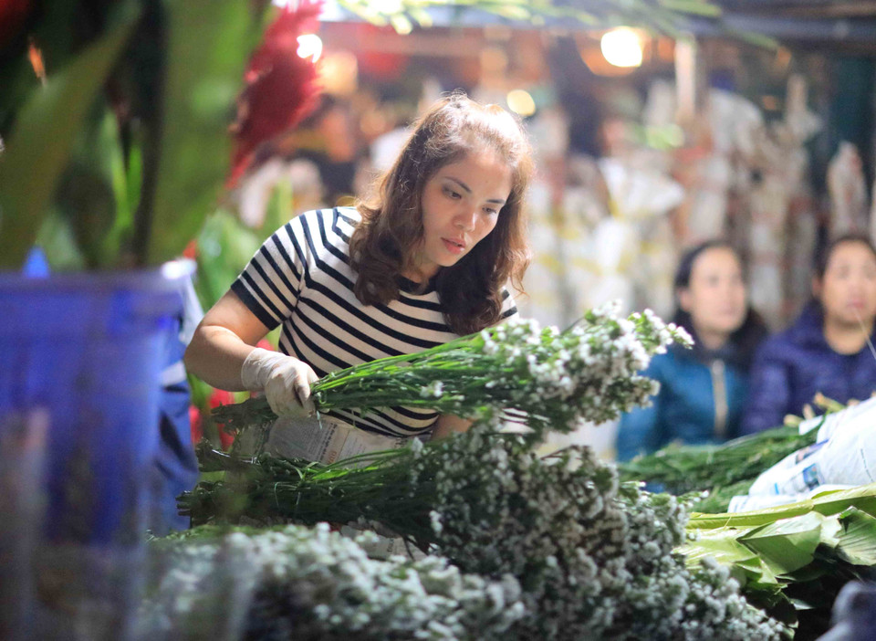 Đa dạng các chủng loại hoa tại chợ hoa đêm Quảng Bá. (Ảnh: Nhật Anh/TTXVN)