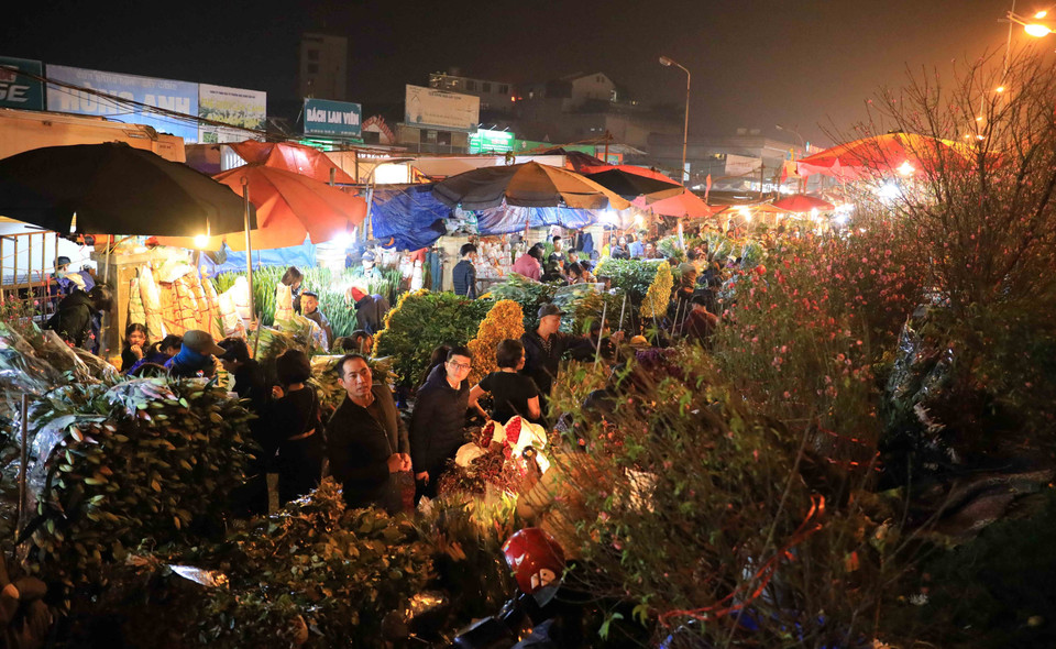 Đa dạng các chủng loại hoa được giao dịch từ 23 giờ đến 6 giờ sáng tại chợ hoa đêm Quảng Bá. (Ảnh: Nhật Anh/TTXVN)