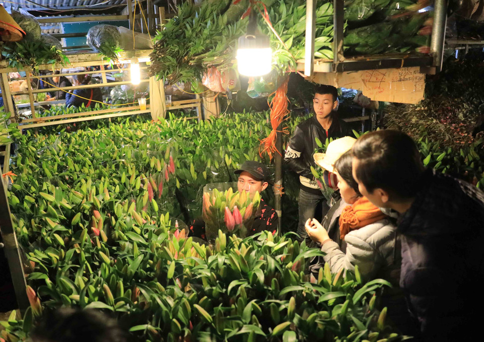 Hoa ly được nhiều người hỏi mua. (Ảnh: Nhật Anh/TTXVN)