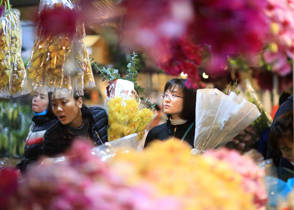 Các bạn trẻ trải nghiệm chợ hoa đêm Quảng Bá. (Ảnh: Nhật Anh/TTXVN)