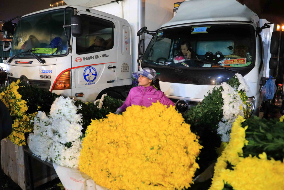 Hoa được chuyển thẳng từ xe ra chợ để đảm bảo phục vụ nhu cầu người mua. (Ảnh: Nhật Anh/TTXVN)