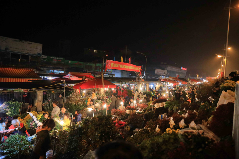 Người dân thủ đô có thêm một thói quen lang thang chợ hoa đêm Quảng Bá. (Ảnh: Nhật Anh/TTXVN)