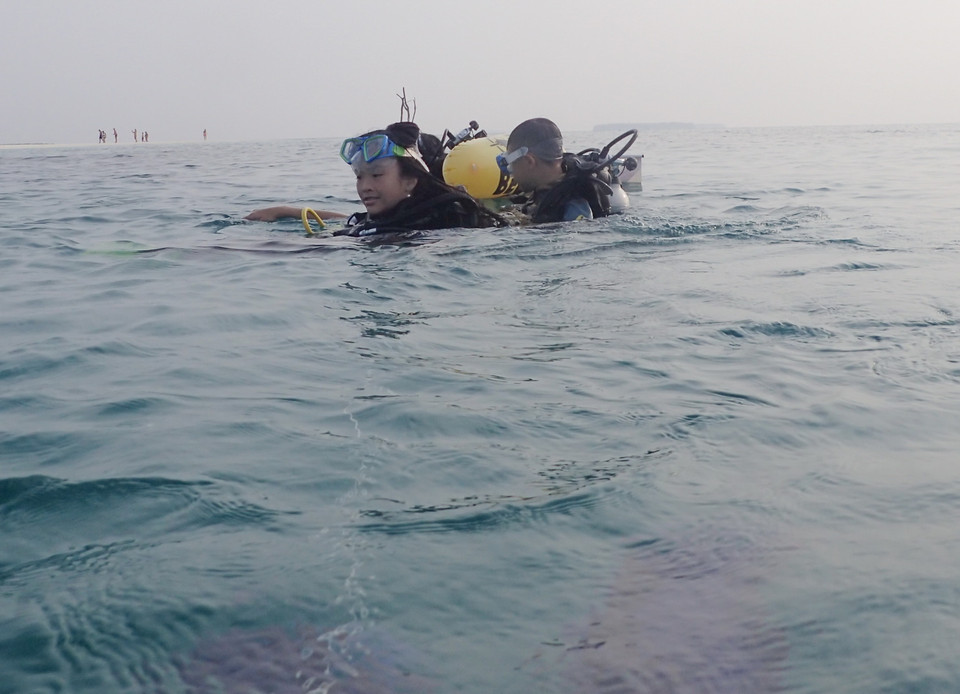 Sau chuyến thăm dò đại dương, ngay trên mặt nước các thợ lặn lại gặp từng đàn cá đuối (Ảnh: CTV)