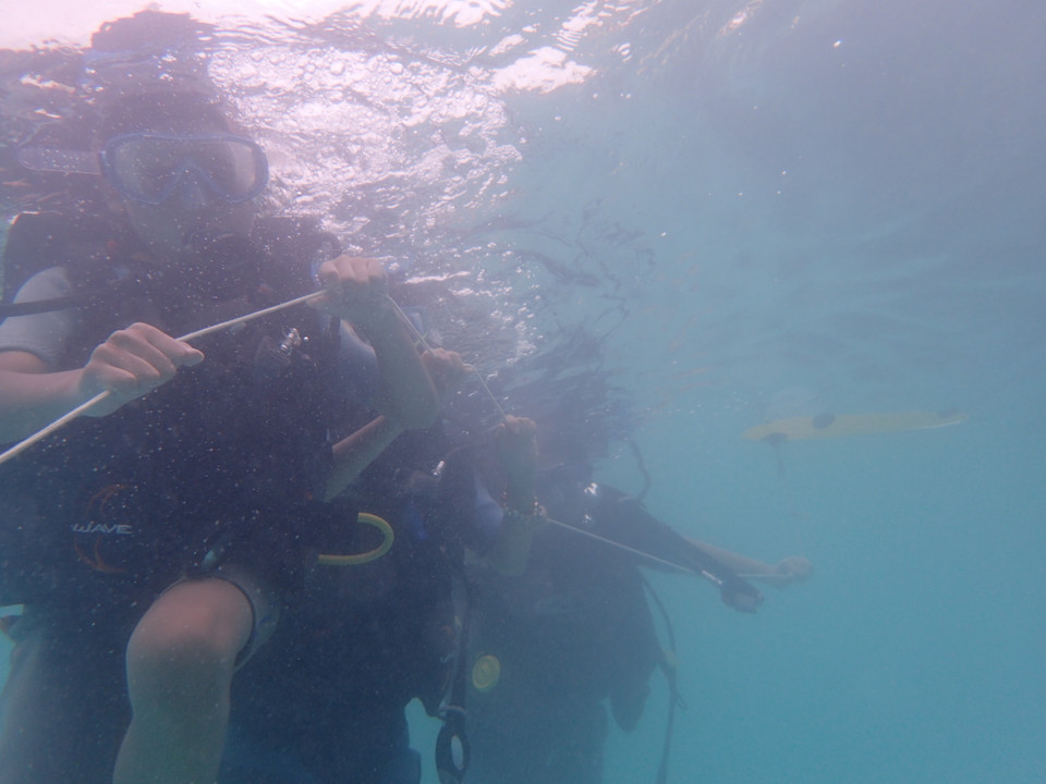 (Ảnh: CTV/Vietnam+)