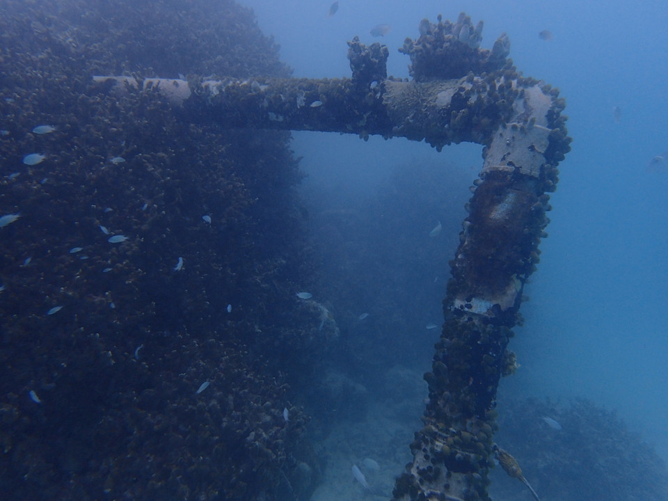 (Ảnh: CTV/Vietnam+)