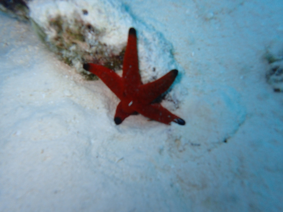 (Ảnh: CTV/Vietnam+)