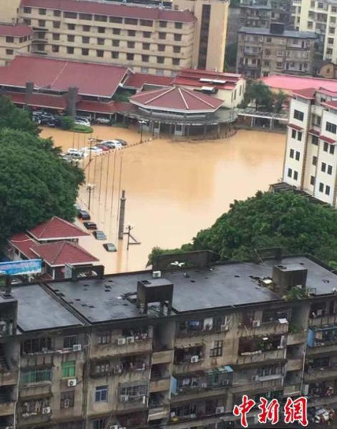 Siêu bão Nepartak cũng đã bị phá hủy gần 2.000 ngôi nhà... (Nguồn: shanghaiist.com)