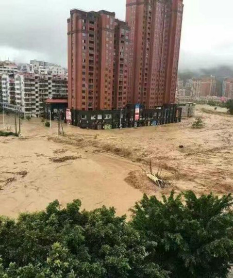 (Nguồn: shanghaiist.com)