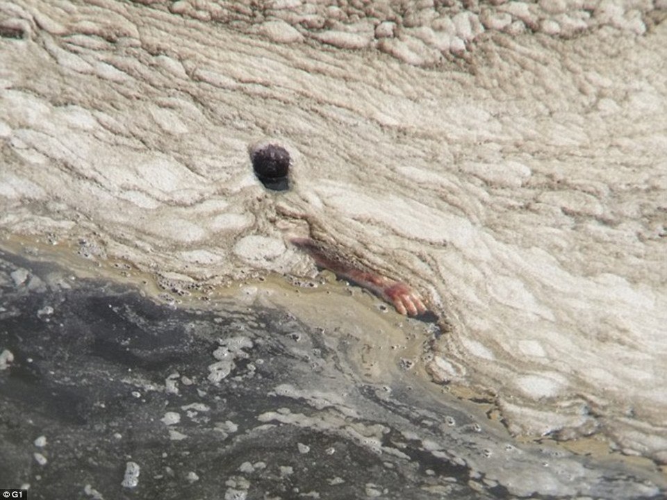 Một cánh tay người chỉ là một trong số những phát hiện kinh khủng trong làn nước Rio.