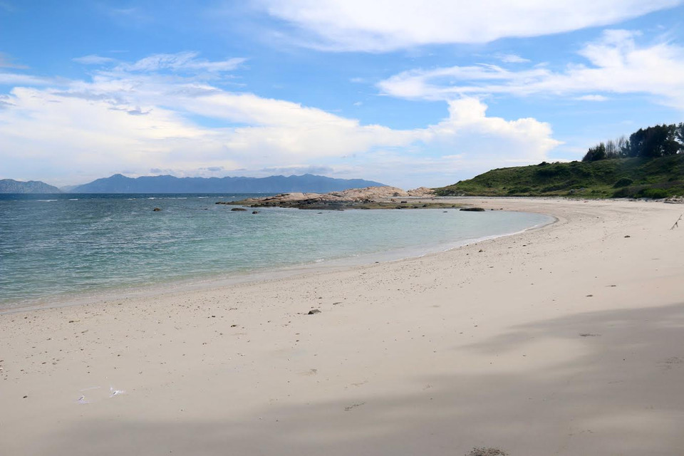 Bãi biển Hòn Cau xanh mướt và hoang sơ. (Ảnh: Nguyễn Thanh/Vietnam+)