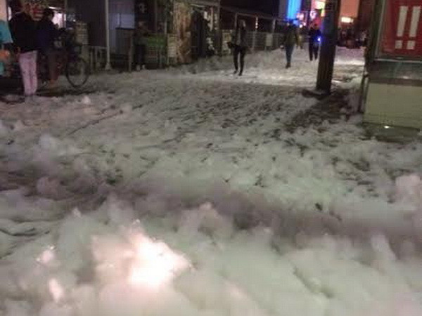 (Nguồn: Daily Mail)