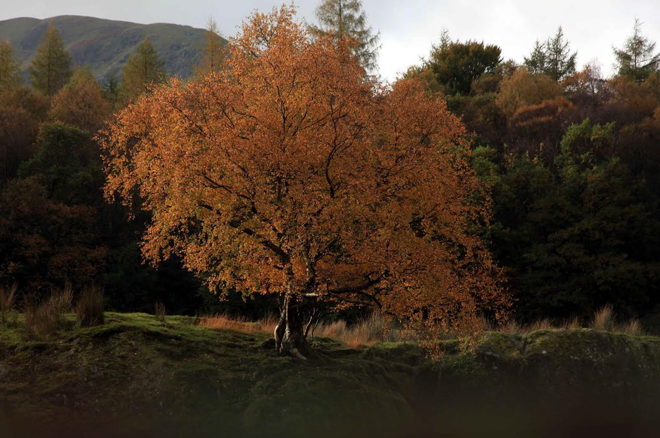 Sắc chiều Thu ở Patterdale. (Ảnh: Như Mai/Vietnam+)