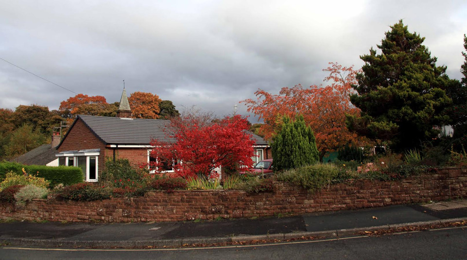 Góc vườn mùa Thu đủ các gam màu xanh, vàng, đỏ. (Ảnh: Như Mai/Vietnam+)