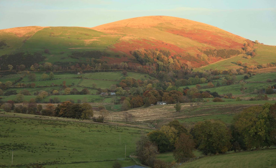 Chút nắng cuối chiều trên thảo nguyên ở Matterdale. (Ảnh: Như Mai/Vietnam+)