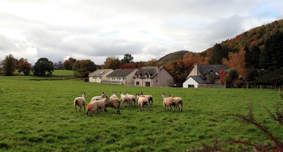 Cảnh nông trại ở làng cổ Pooley Bridge đẹp như tranh. (Ảnh: Như Mai/Vietnam+)