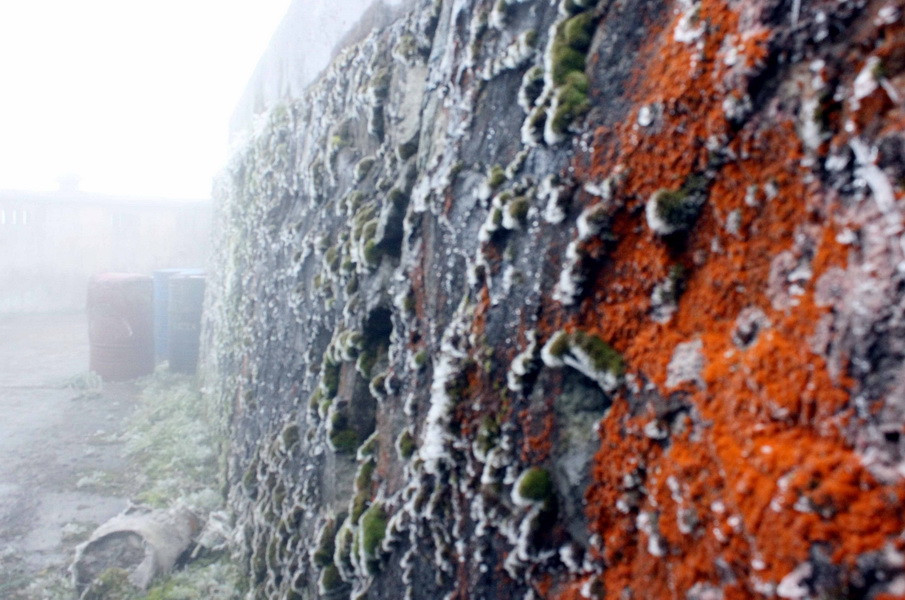 Những bức tường rong rêu cũng bám đầy băng tuyết. (Ảnh: Quốc Đạt/TTXVN)