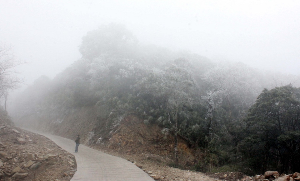 Băng tuyết phủ sắc trắng lên những cánh rừng trên đỉnh Phja Oắc. (Ảnh: Quốc Đạt/TTXVN)