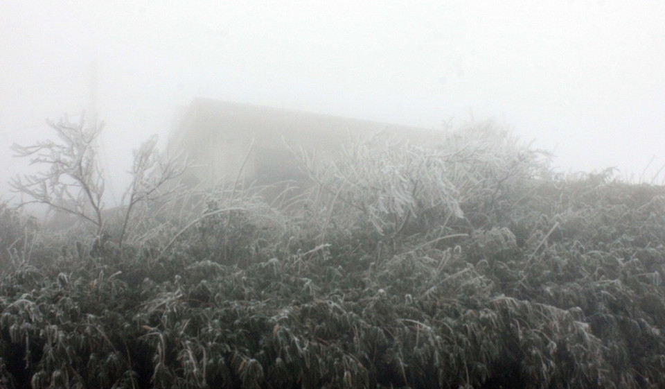 Những căn nhà chìm trong sắc trắng kỳ ảo. (Ảnh: Quốc Đạt/TTXVN)