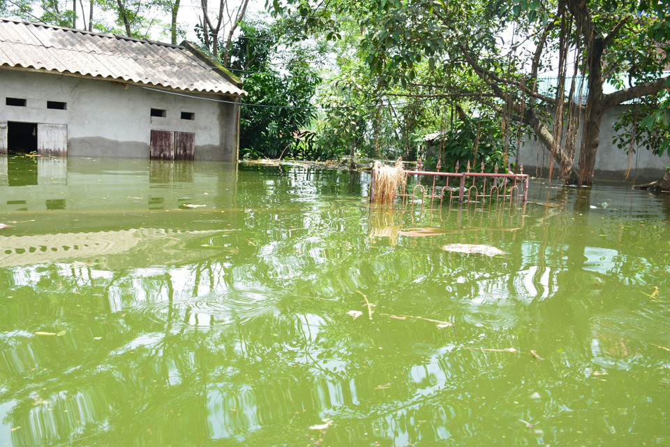 (Ảnh: Quốc Dũng/Vietnam+)