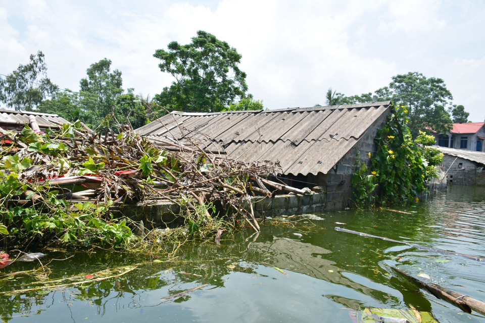 Nước ngập lên đến cả mái nhà ở nhiều khu vực trũng. (Ảnh: Quốc Dũng/Vietnam+)