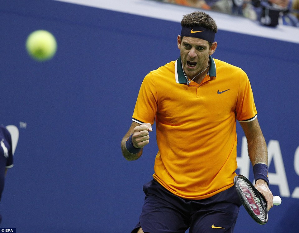 ...nhưng Juan Martin del Potro đã nhanh chóng gỡ hòa 3-3.