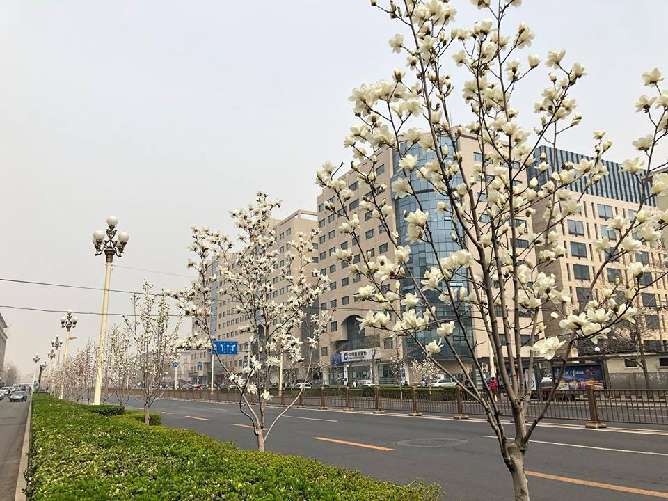 Các quy định giao thông nghiêm ngặt cũng được triển khai tại thủ đô Bắc Kinh trong ngày 26/3