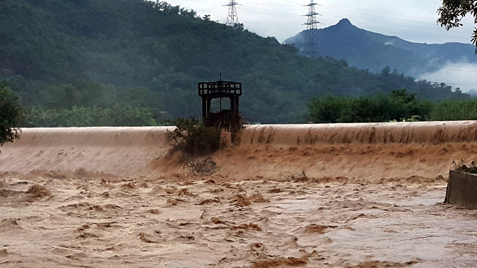 (Ảnh: Thanh Hải - TTXVN)