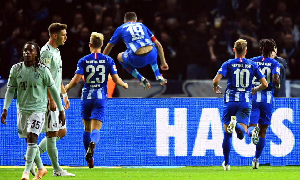 Vedad Ibisevic ăn mừng bàn thắng phá vỡ thế cân bằng. (Nguồn: AFP)