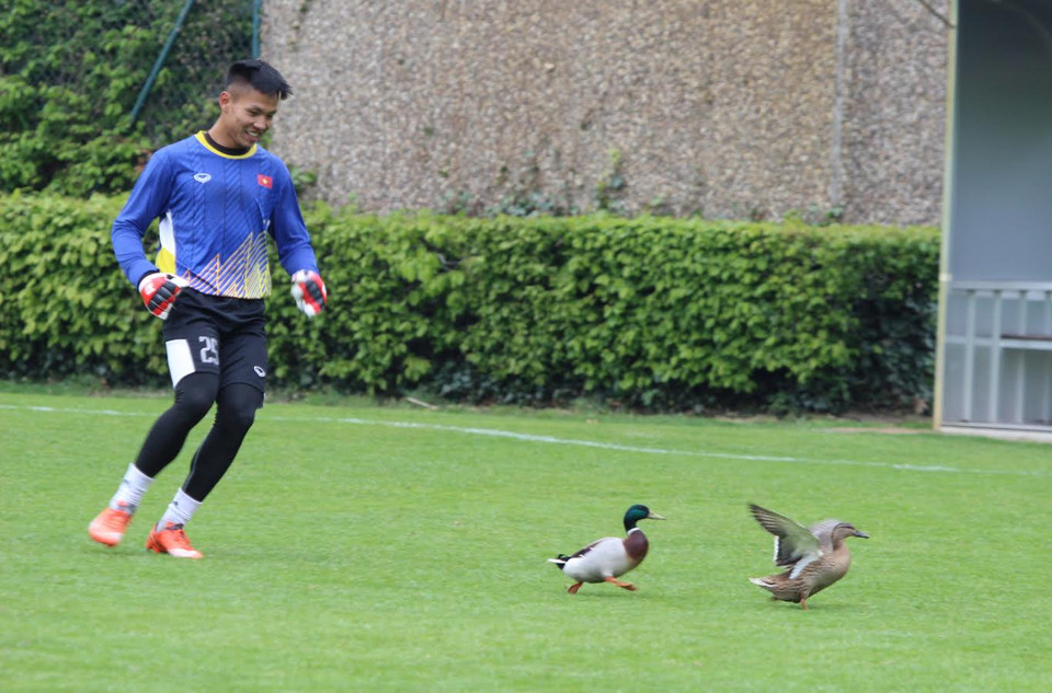 Hai vị ​'khách không mời' xuất hiện trên sân tập của đội tuyển U20 Việt Nam (Ảnh: Phạm Văn Thắng/Vietnam+)