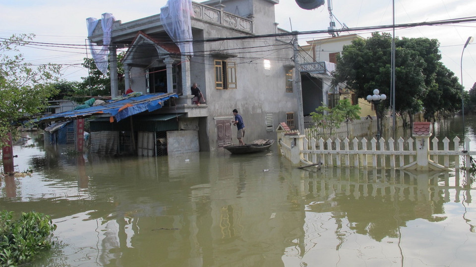 (Ảnh: Thùy Dung/TTXVN​)